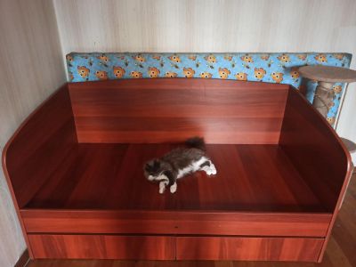 Лот: 25190001. Фото: 1. Детская кровать. Детские кровати и кроватки