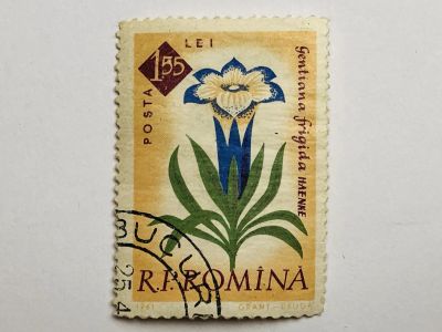 Лот: 23316528. Фото: 1. Цветы. 1.55 лей. Флора. Румыния... Марки
