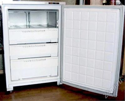 Лот: 309568. Фото: 1. Продам Холодильную камеру "Бирюса-14... Холодильники, морозильные камеры
