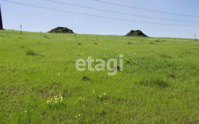 Лот: 20612789. Фото: 1. Продам участок 10 сот. Новосибирское... Земельные участки