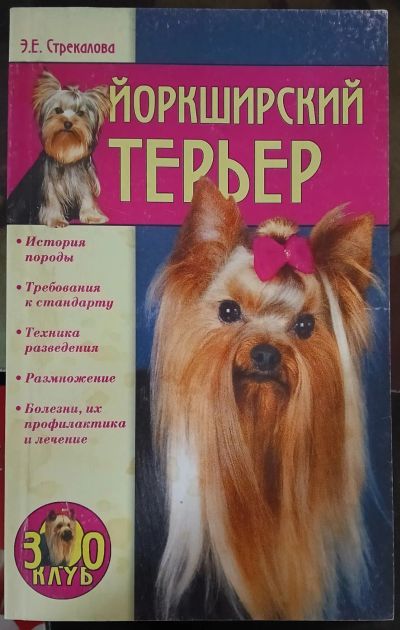 Лот: 25519316. Фото: 1. Йоркширский терьер - авт. Стрелкова... Домашние животные