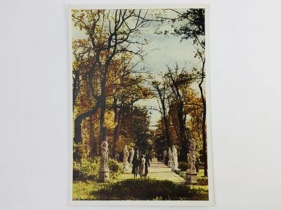 Лот: 23297161. Фото: 1. Ленинград. Летний сад. Открытка... Открытки, конверты