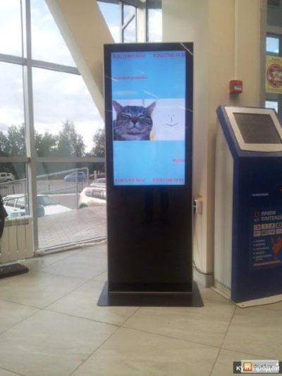 Лот: 11131250. Фото: 1. Готовый бизнес Видеостойка под... Другое (готовый бизнес)
