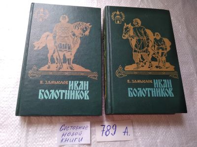 Лот: 19323453. Фото: 1. оз..Замыслов В.А. Иван Болотников... Художественная