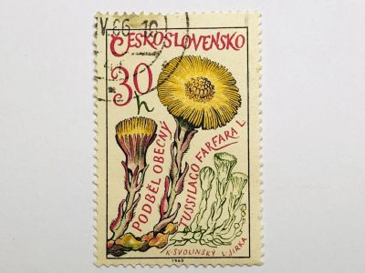 Лот: 23316397. Фото: 1. Лекарственные растения. Мать-и-мачеха... Марки
