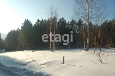 Лот: 25286297. Фото: 1. участок , СНТ Рось СНТ Рось, 55... Земельные участки