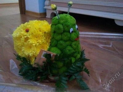 Лот: 2339857. Фото: 1. улиточка из живых цветов - царский... Другое (цветы, букеты)