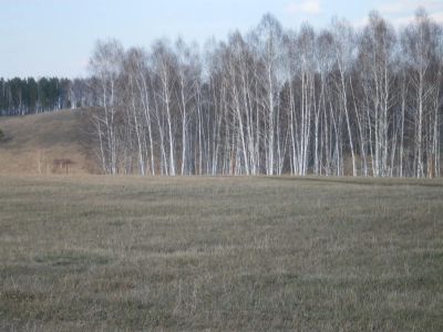 Лот: 5014278. Фото: 1. Продам срочно 4 земельных участка... Земельные участки