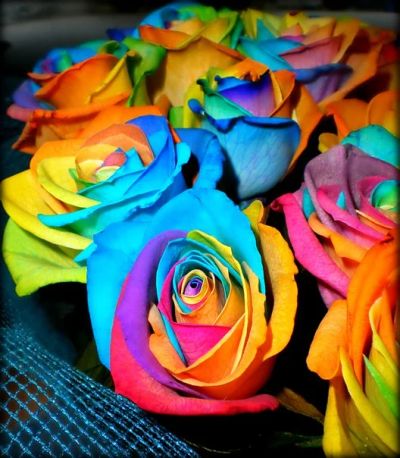 Лот: 1274838. Фото: 1. 19 радужных роз с зеленью и упаковкой. Другое (цветы, букеты)