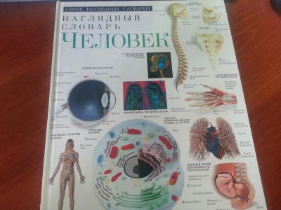 Лот: 4283137. Фото: 1. Наглядный словарь: Человек. Энциклопедии