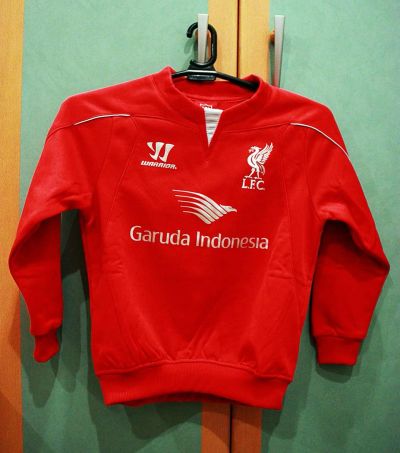 Лот: 5996379. Фото: 1. толстовка liverpool. Свитера, худи, толстовки