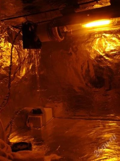 Лот: 759231. Фото: 1. Установка ДНАТ 250W. Другое (комнатные растения и уход)