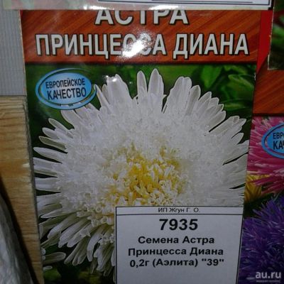 Лот: 9110974. Фото: 1. Семена / Астра / Принцесса Диана... Садовые цветы