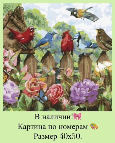 Лот: 14623339. Фото: 1. Картина по номерам. Птицы. Картины по номерам