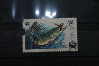 Лот: 3961309. Фото: 1. марка 16 Польша фауна. Марки