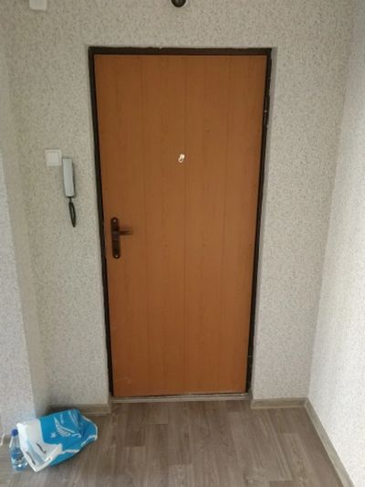 Лот: 17240797. Фото: 1. Входная дверь. Двери входные