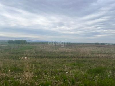 Лот: 25291372. Фото: 1. участок , Сосновоборск Сосновоборск... Земельные участки