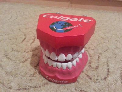 Лот: 2665634. Фото: 1. Фирменные челюсти Colgate!. Скульптуры