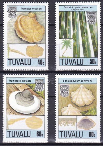 Лот: 12365452. Фото: 1. 1989. Тувалу. 541-544. Грибы... Марки