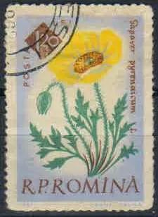 Лот: 21505871. Фото: 1. 1961. Румыния. 100-летие Ботанического... Марки