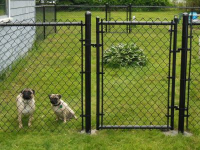 Лот: 10997160. Фото: 1. Забор для собак. Ворота, заборы, шлагбаумы