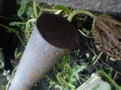 Лот: 2081604. Фото: 1. КРУГ. Металлопрокат