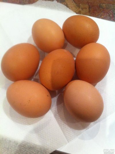 Лот: 8853753. Фото: 1. Инкубационное яйцо голошейки. Мясо, птица, яйцо