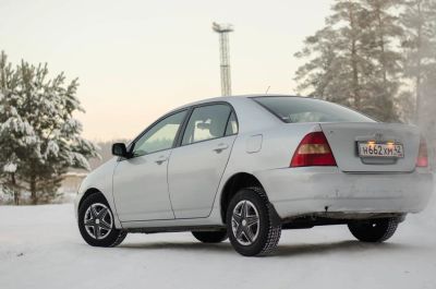 Лот: 8652827. Фото: 1. Toyota Corolla. Автомобили