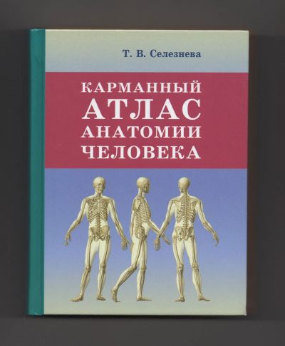 Лот: 5843185. Фото: 1. Селезнева Карманный атлас анатомии... Традиционная медицина