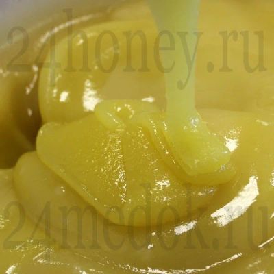 Лот: 3357855. Фото: 1. Донниковый мед 2013 год с пасеки... Мёд, продукты пчеловодства