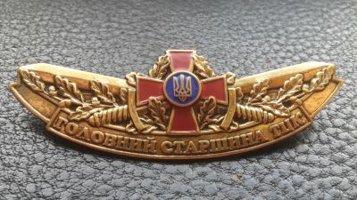 Лот: 8025479. Фото: 1. Знак «Главный старшина ТЦК» ВС... Другое (значки, медали, жетоны)