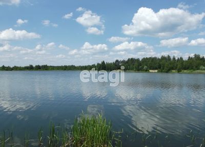 Лот: 25297575. Фото: 1. участок , деревня Ковригино Приозёрная... Земельные участки