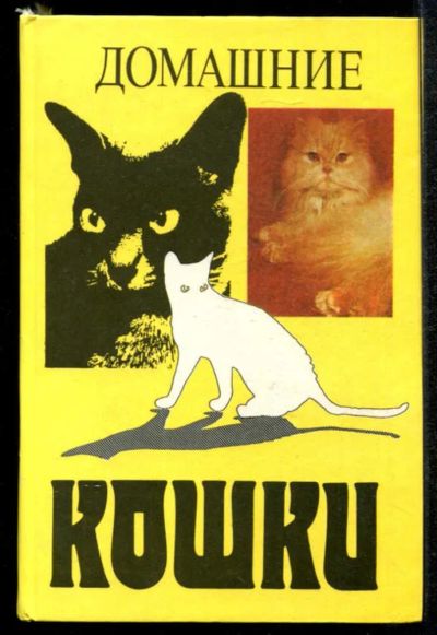 Лот: 23435154. Фото: 1. Домашние кошки. Домашние животные