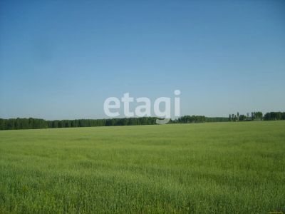 Лот: 25292806. Фото: 1. участок , деревня Ермолаево деревня... Земельные участки