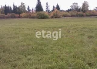 Лот: 25297889. Фото: 1. участок , СПК Солонцы СПК Солонцы... Земельные участки