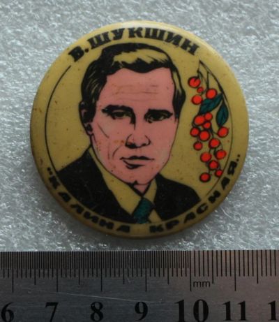 Лот: 9137364. Фото: 1. Знак: Василий Шукшин Калина Красная... Сувенирные
