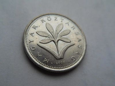 Лот: 10089425. Фото: 1. Венгрия 2 форинта 2005. Европа