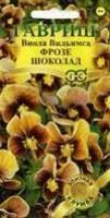 Лот: 11025086. Фото: 1. Виола вильямса Фрозе шоколад... Садовые цветы