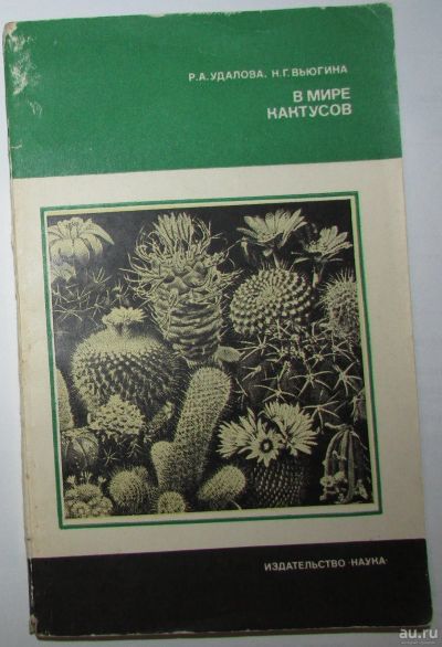 Лот: 8281411. Фото: 1. В мире кактусов. Удалова Р.А... Сад, огород, цветы