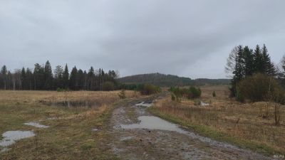 Лот: 17661603. Фото: 1. 5,5Га - Земельные участки Манский... Земельные участки