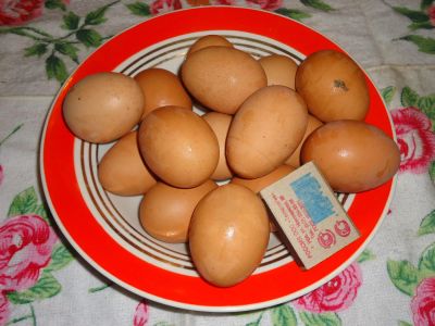 Лот: 7282371. Фото: 1. яйцо куринное домашнее очень крупное. Мясо, птица, яйцо