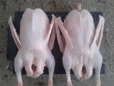 Лот: 10796380. Фото: 1. Гусь к рождеству!. Мясо, птица, яйцо