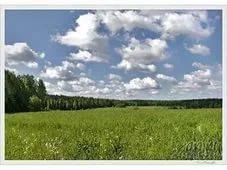 Лот: 5802615. Фото: 1. Земельный участок ИЖС. Земельные участки