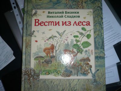 Лот: 13264848. Фото: 1. Вести из леса. Художественная для детей