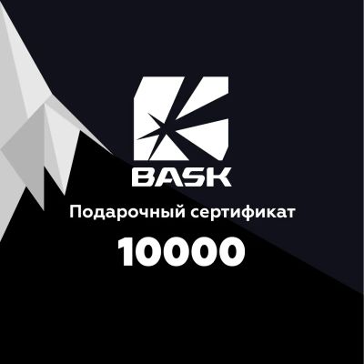 Лот: 24606846. Фото: 1. Подарочный сертификат BASK. Подарочные сертификаты, купоны, промокоды