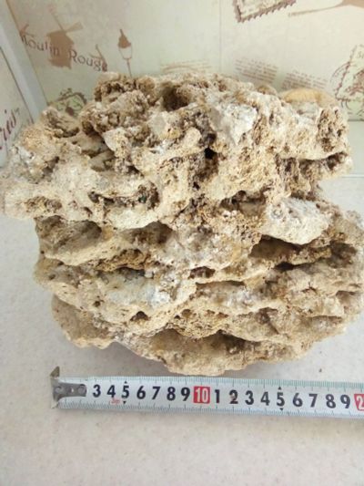 Лот: 15480836. Фото: 1. Песчаник 19*12"17. Грунты, украшения, наполнения