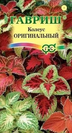 Лот: 11025139. Фото: 1. Колеус Оригинальная смесь* 0,05... Садовые цветы