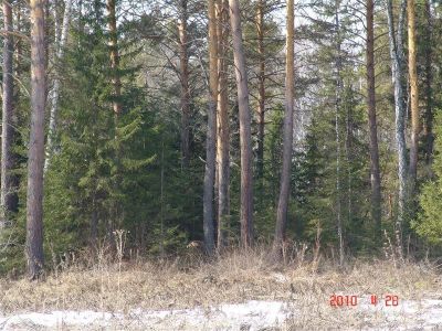 Лот: 523922. Фото: 1. Участки в д. Крутая. Земельные участки