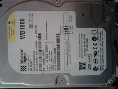 Лот: 760674. Фото: 1. HDD WD 160Gb. Жёсткие диски (HDD)