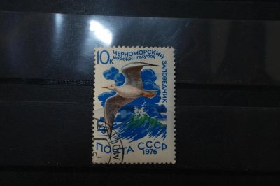 Лот: 3991973. Фото: 1. марки СССР 13 Морской голубок... Марки